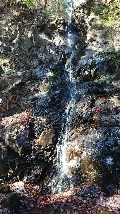 清瀧神社の自然