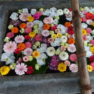 豊山八幡神社の手水舎 2023年05月13日(土)〜(2023年05月13日(土) 11時16分11秒投稿)