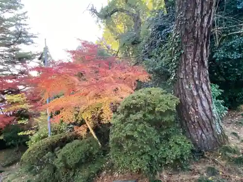 東昌寺の庭園