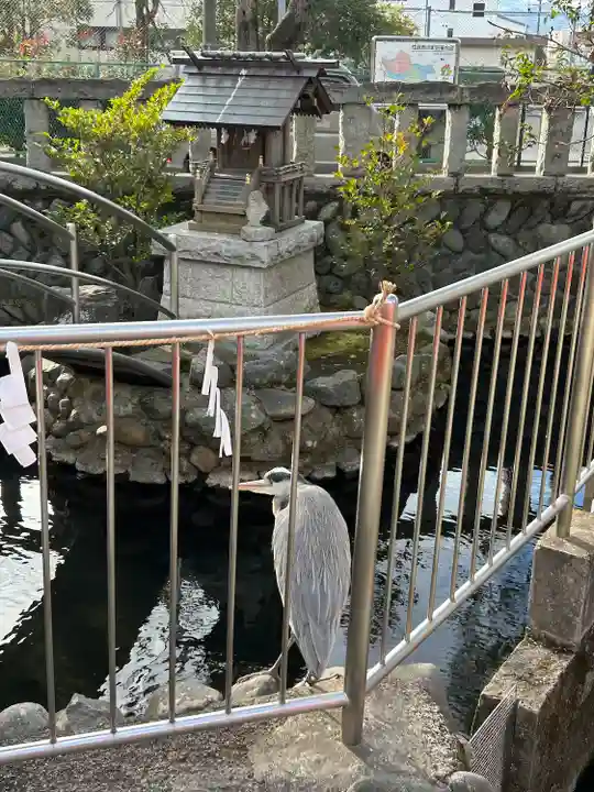 鈴鹿明神社(神奈川県)