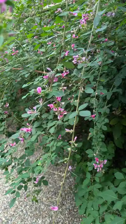 梨木神社(京都府)