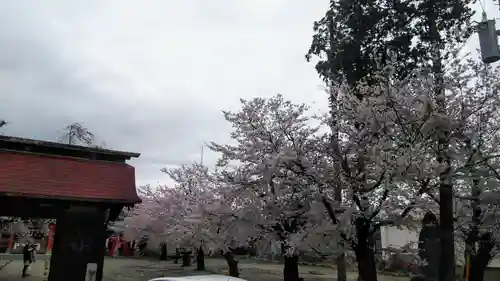 石和八幡宮(官知物部神社)の自然