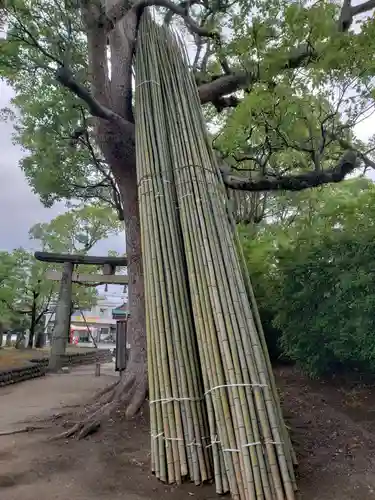 大善寺玉垂宮の建物その他