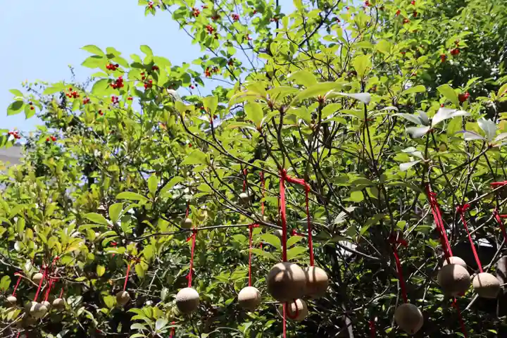 錦天満宮のその他建物