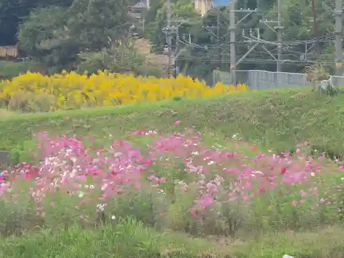 安楽寺(大阪府)