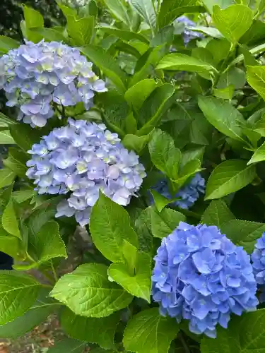 元興寺(奈良県)