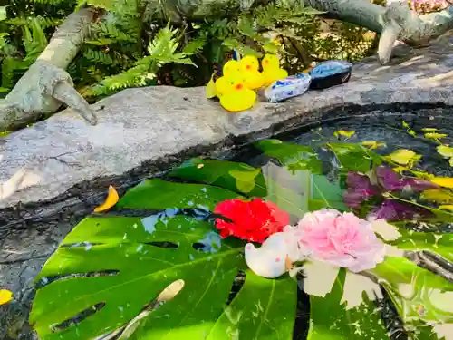 三輪神社の自然