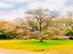 女化神社の自然