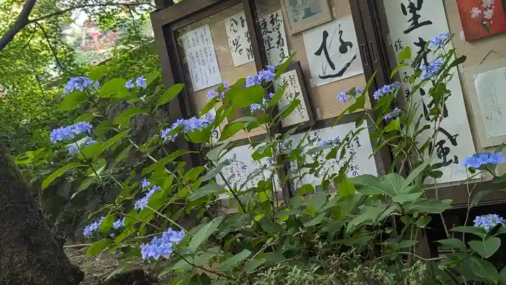 正法寺(京都府)