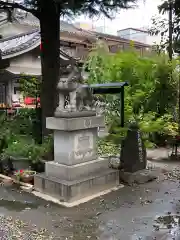 今戸神社の狛犬