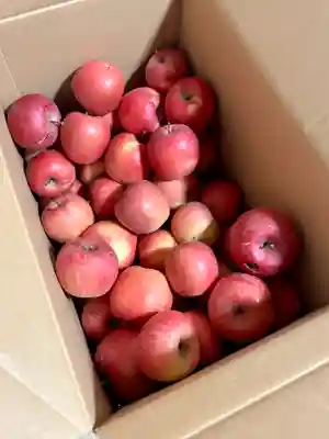 蚊里田八幡宮(長野県)