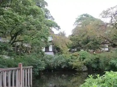時宗総本山 遊行寺（正式：清浄光寺）(神奈川県)