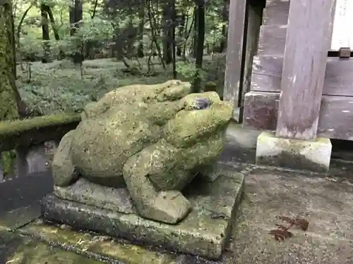 日光二荒山神社の狛犬