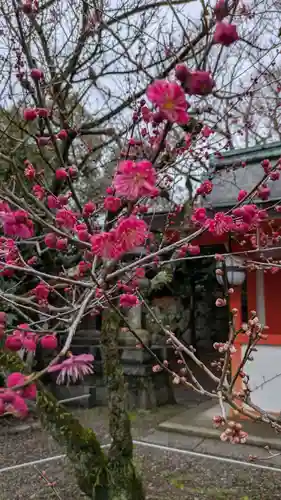 北野天満宮(京都府)