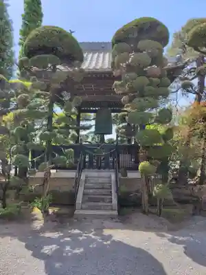 照明寺　(反町薬師尊)(群馬県)