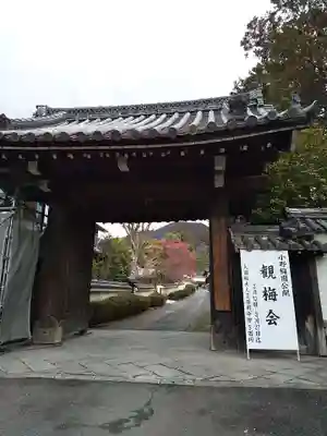 隨心院(随心院)(京都府)