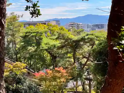 紅葉八幡宮(福岡県)