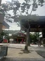 紅葉八幡宮(福岡県)