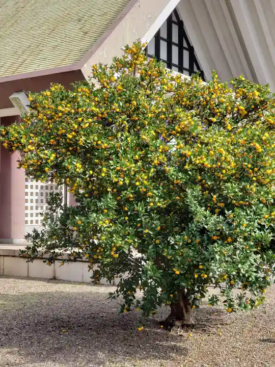 千葉縣護國神社の庭園