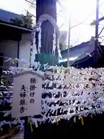溝口神社のおみくじ