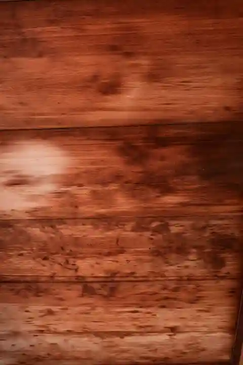 正伝護国禅寺(正伝寺・正傳寺)(京都府)