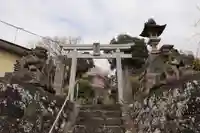 菅布禰神社の鳥居