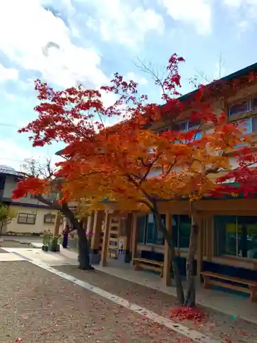 飛驒天満宮の自然