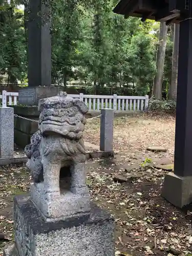 柳窪天神社（黒目川天神社）　の狛犬