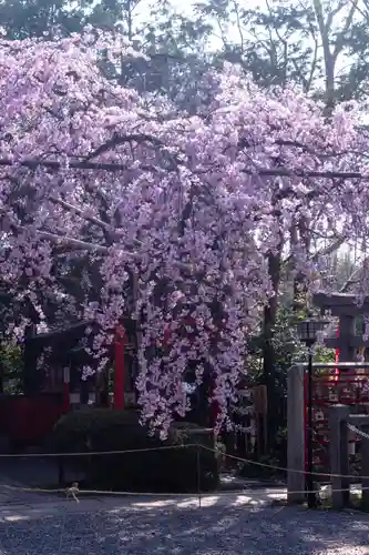 水火天満宮(京都府)