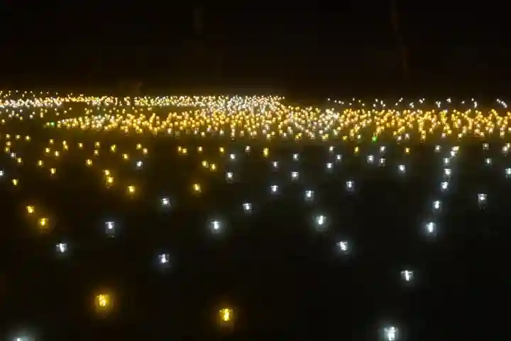 沢山神社(澤山神社)(新潟県)