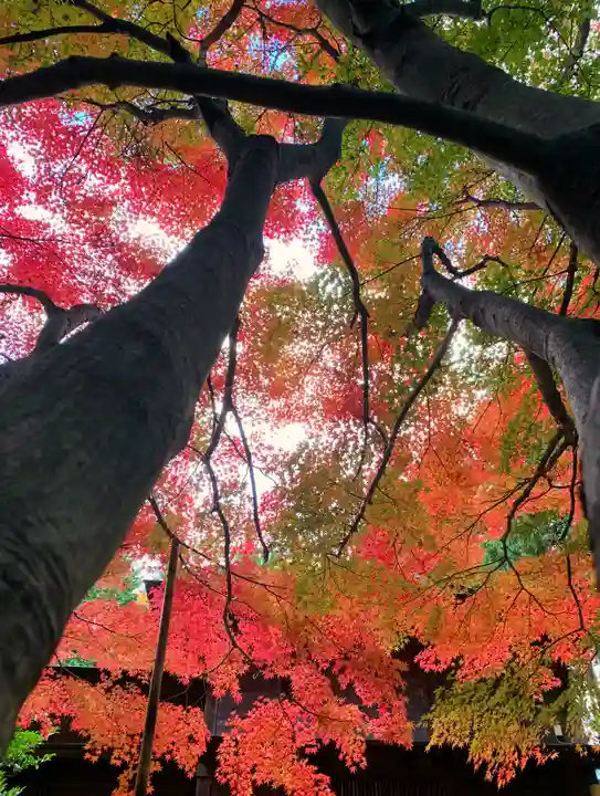滑川神社 - 仕事と子どもの守り神(福島県)