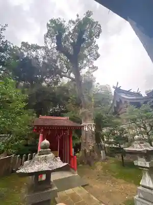綿都美神社の自然