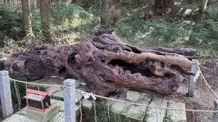 泉神社(茨城県)