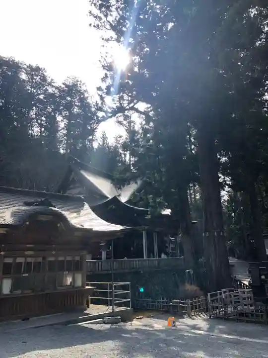 三峯神社(埼玉県)