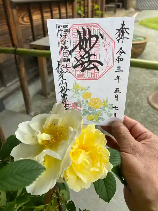 妙蓮寺(神奈川県)