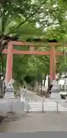 武蔵一宮氷川神社の鳥居