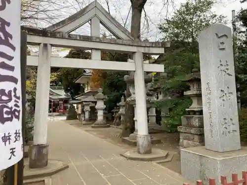 日枝神社水天宮の鳥居