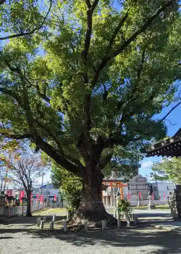 金岡神社(大阪府)