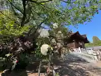 手力雄神社(岐阜県)