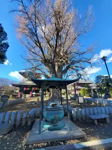 鑁阿寺(栃木県)