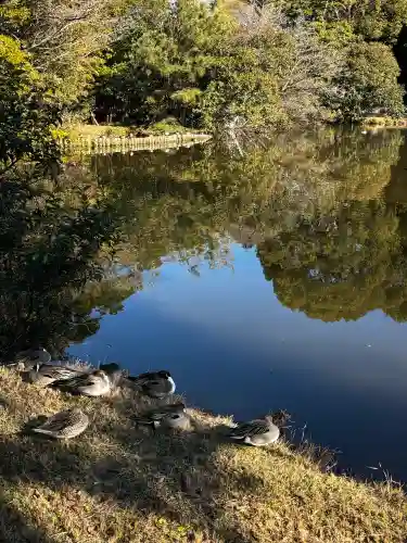 菊田神社の{uncategorized: "未分類", other: "その他", undefined: "問題あり", building: "その他建物", grave: "お墓", sacred_gate: "鳥居", guardian: "狛犬", statue: "像", buddha: "仏像", history: "歴史", nature: "自然", garden: "庭園", animal: "動物", pagoda: "塔", temizu: "手水舎", mountain_gate: "山門・神門", sanctuary: "本殿・本堂", subordinate: "末社・摂社", art: "芸術", scenery: "景色", jizo: "地蔵", ema: "絵馬", goshuin: "御朱印", omikuji: "おみくじ", items: "授与品その他", amulet: "お守り", goshuincho: "御朱印帳", eats: "食事", festival: "お祭り", votive_dance: "神楽", shichigosan: "七五三参", wedding: "結婚式", experience: "体験その他", initially: "初詣", around: "周辺", anti_infection: "感染症対策"}