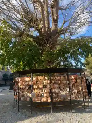 今戸神社の絵馬