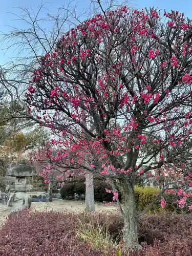 大生郷天満宮の自然