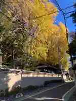 森巌寺(東京都)