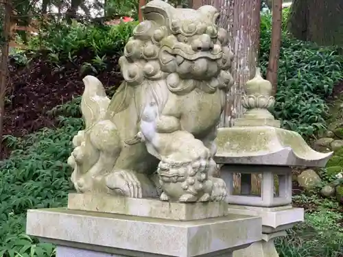 須山浅間神社の狛犬