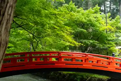 小國神社(静岡県)