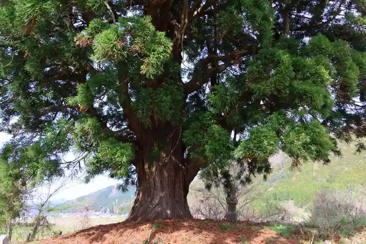 岩上神社の周辺