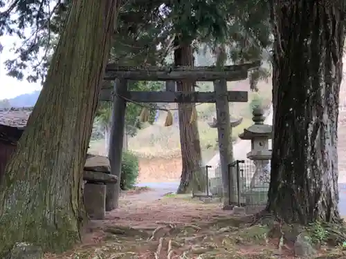 石上布都魂神社の鳥居