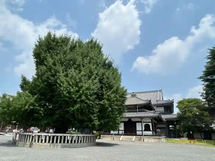 本願寺(西本願寺)(京都府)