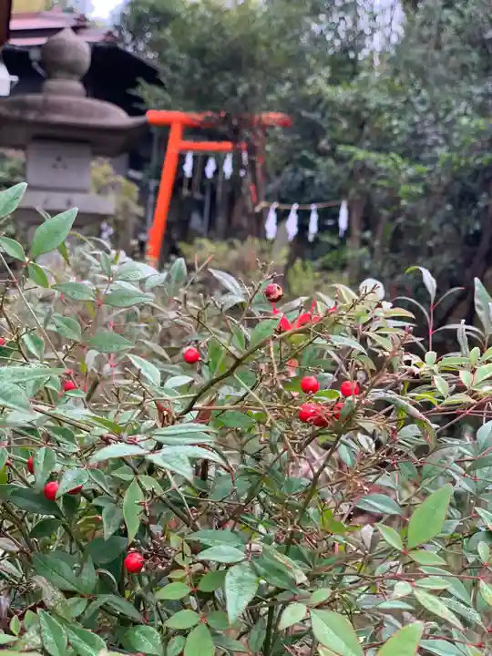 横浜御嶽神社の自然